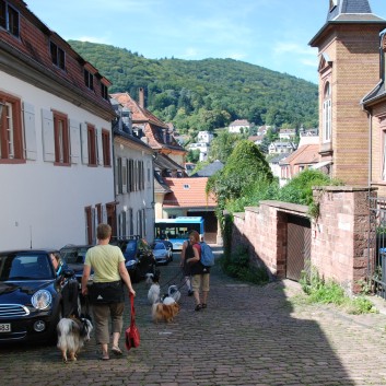 Mittelspitz Aragon von der Rosteige zu Besuch in Heidelberg 11