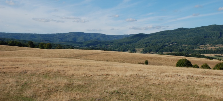 Mittelspitze von der Rosteige in Targu Mures in Rumnien 36